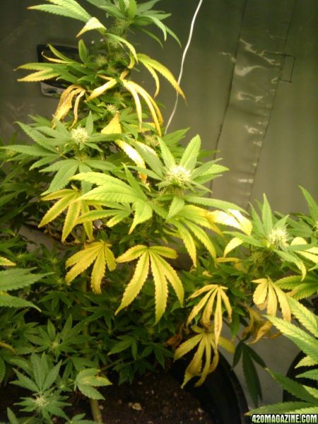 2009-10-26_20_27_00.jpg