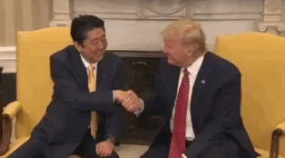 giphy.gif