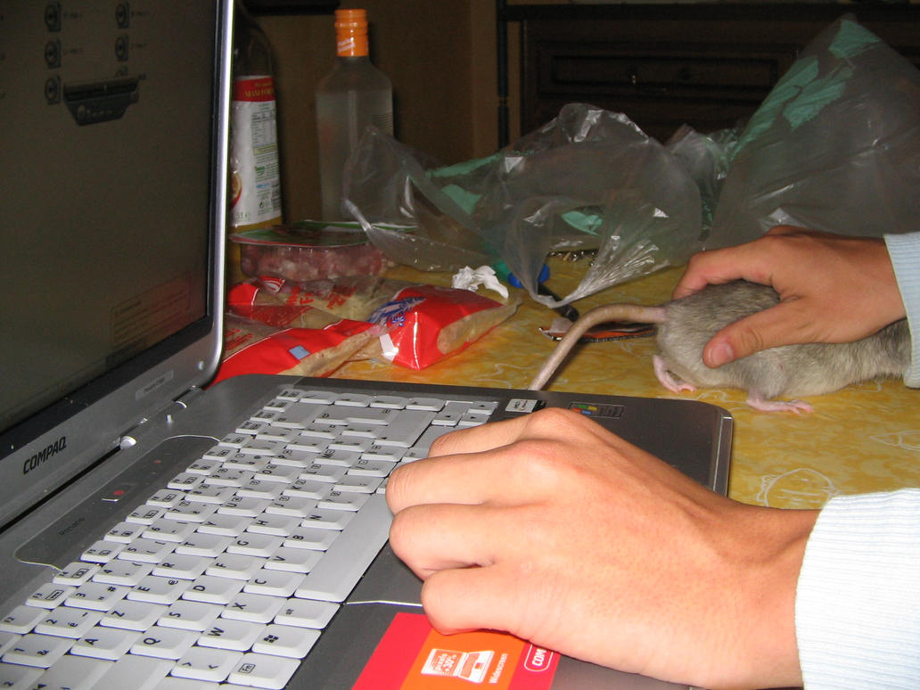 Computer_Rat_Boy_by_Lolitaz.jpg