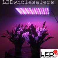 Grow_Light_Panel_001.jpg