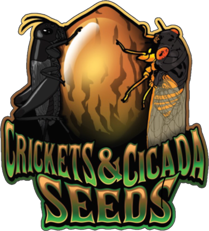 seedsherenow.com