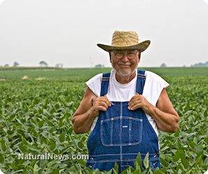 Farmer-Crops.jpg