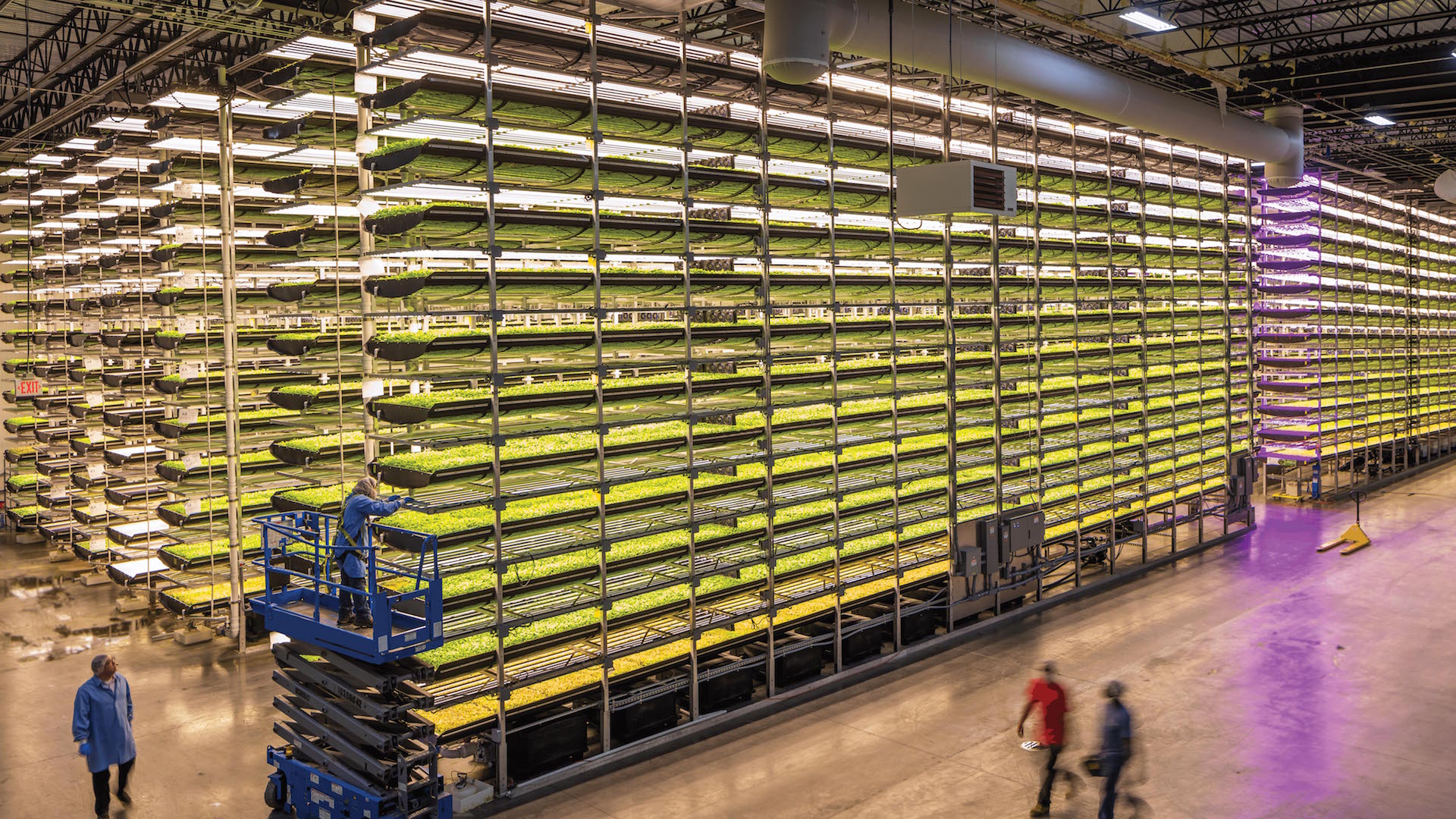 AeroFarms-Indoor-Vertical-Farming-Wide-Shot.jpg