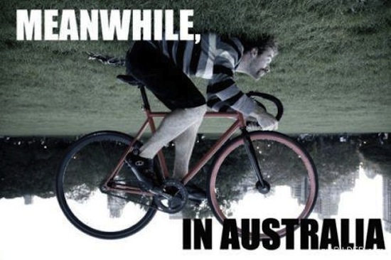 meanwhile-in-australia.jpeg