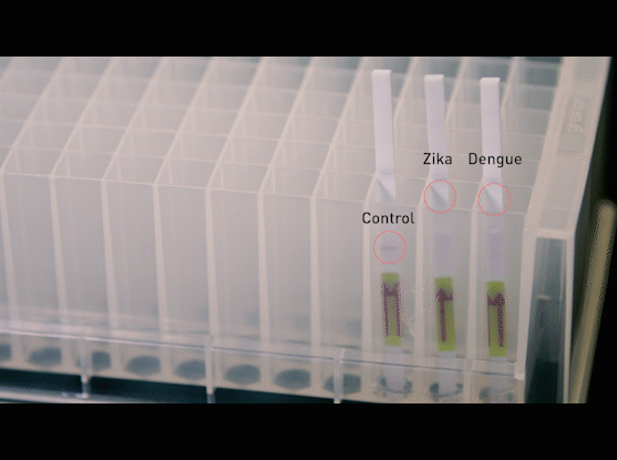 gootenberg3.gif