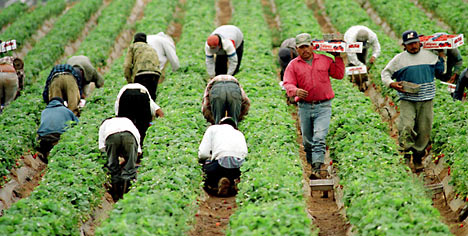 migrantworkersrex_468x236.jpg