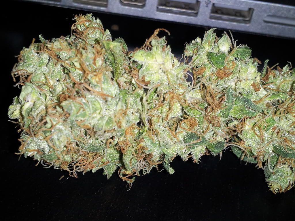 CameraZOOM-20120313233341868.jpg