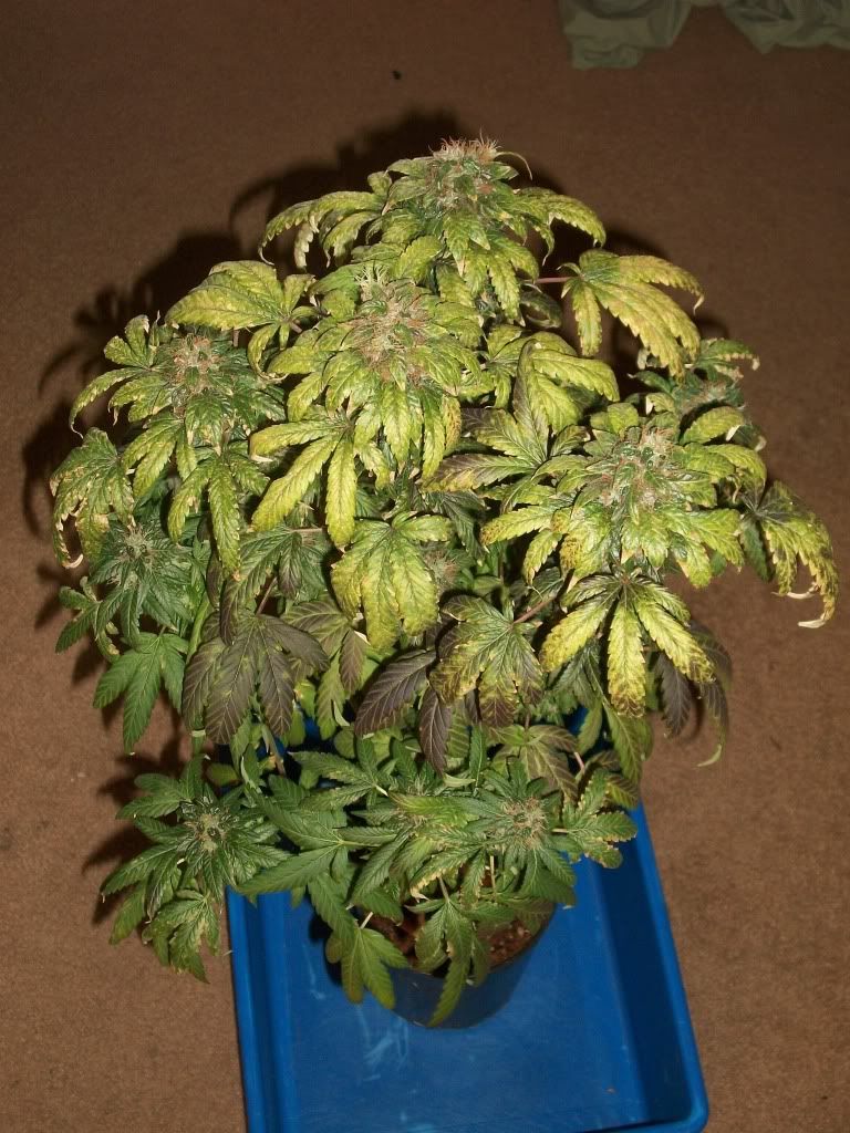 11-05-11003.jpg