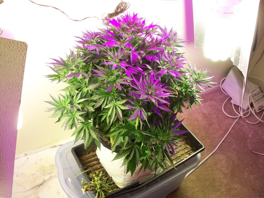 100_1829.jpg