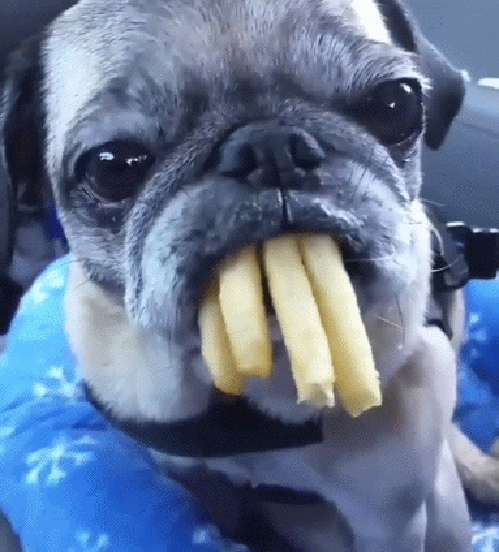 gifs_11.gif