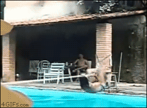 holy-shit-gifs-there-goes-roof.gif