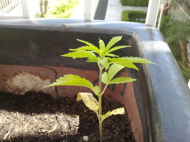 2012-05-27150323.jpg