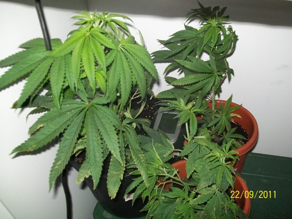 Photo-4.jpg