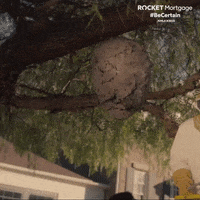 7-C157398-FC6-E-4526-A6-DB-9-AAF0-EFA1720.gif