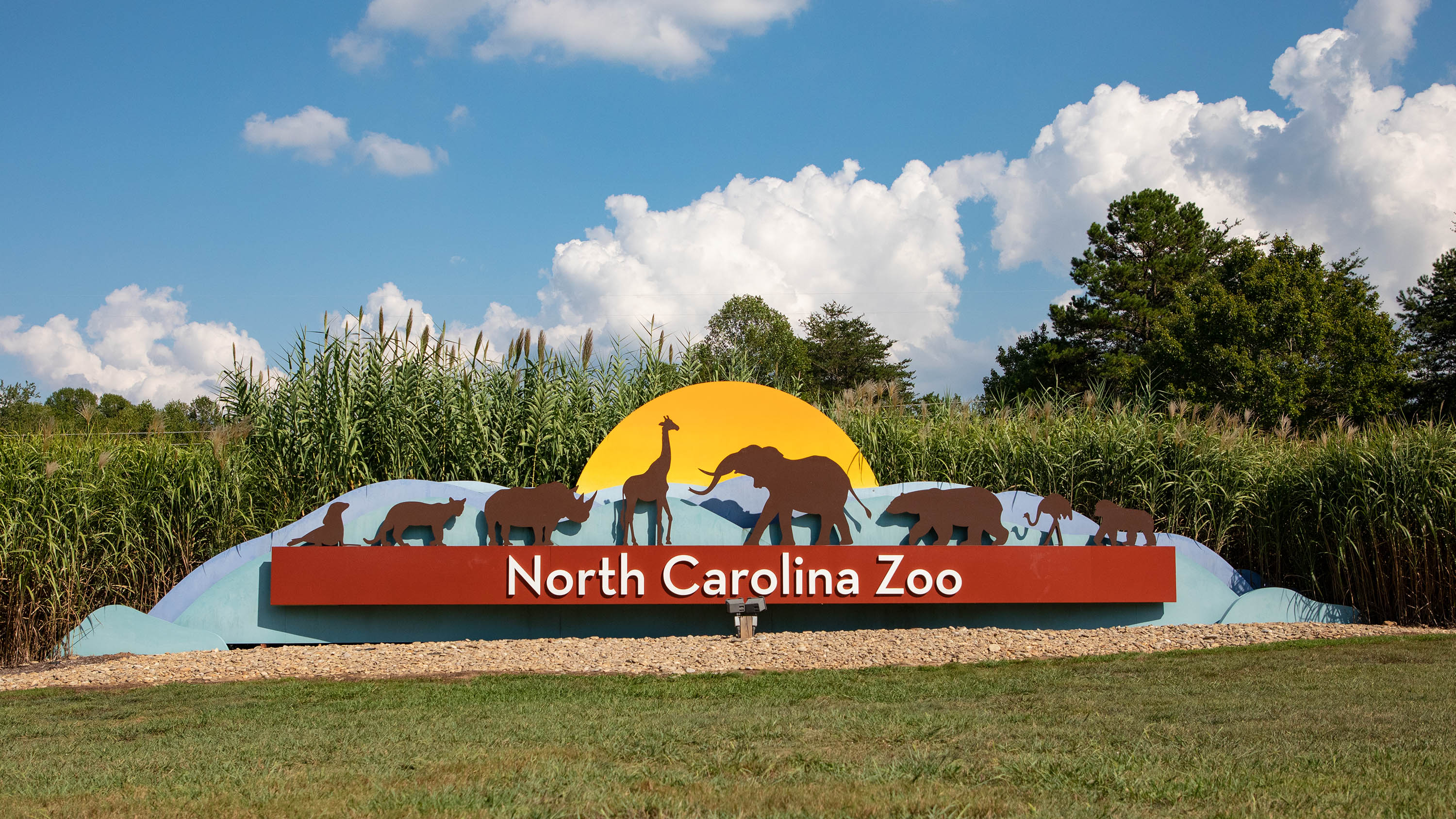 North Carolina Zoo closed due to weather | myfox8.com