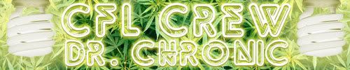 Drchronic.jpg
