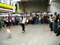 giphy.gif