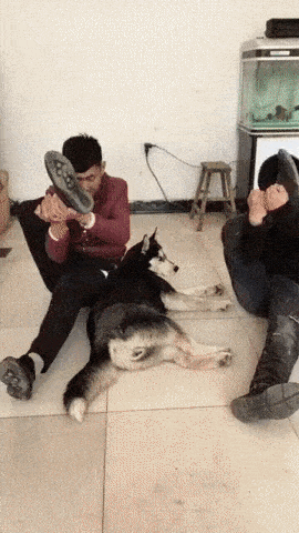 1675590206_18.gif