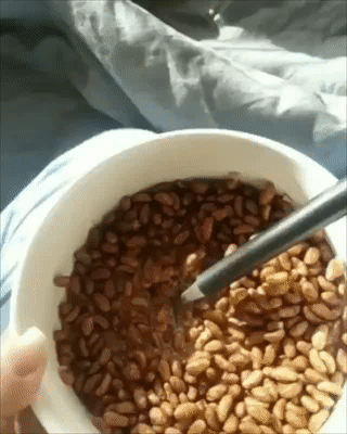 gifs_10.gif