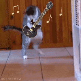 82913913.gif