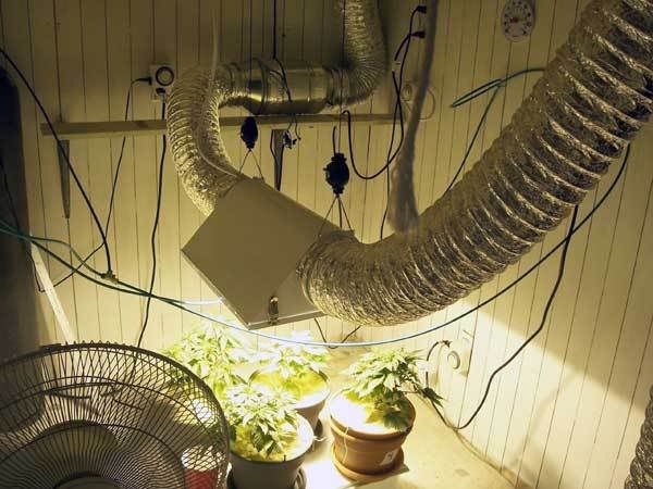 room4.jpg