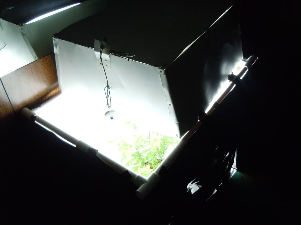 DSCN0408.jpg