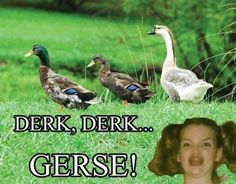 03c4b0d69b6bd4ff68a1e1936082d4cc--duck-duck-ducks.jpg