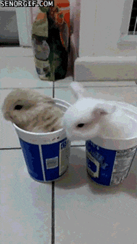 200w.gif