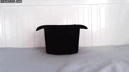 gifs_22.gif