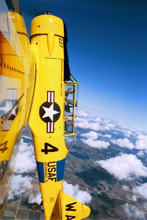 going-vertical.jpg