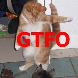 gtfo.jpg
