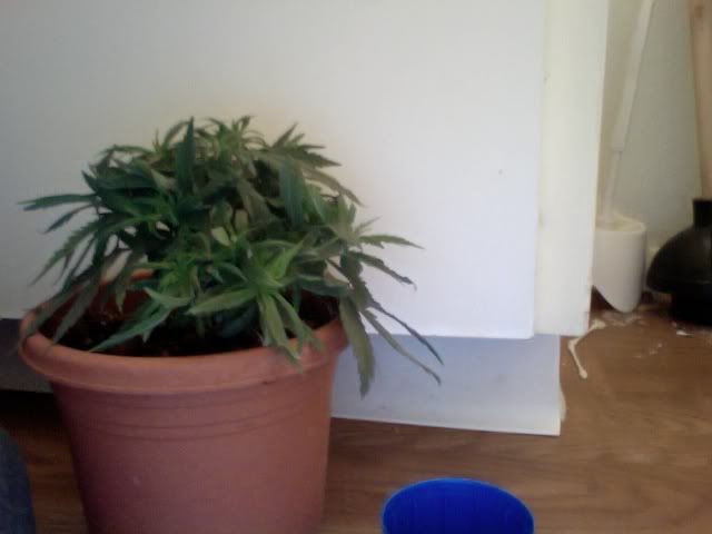 Photoon2011-05-19at04363.jpg