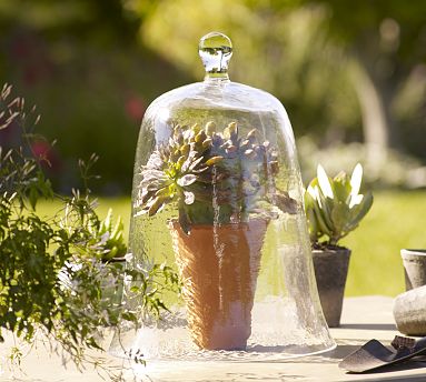 garden-cloche.jpg