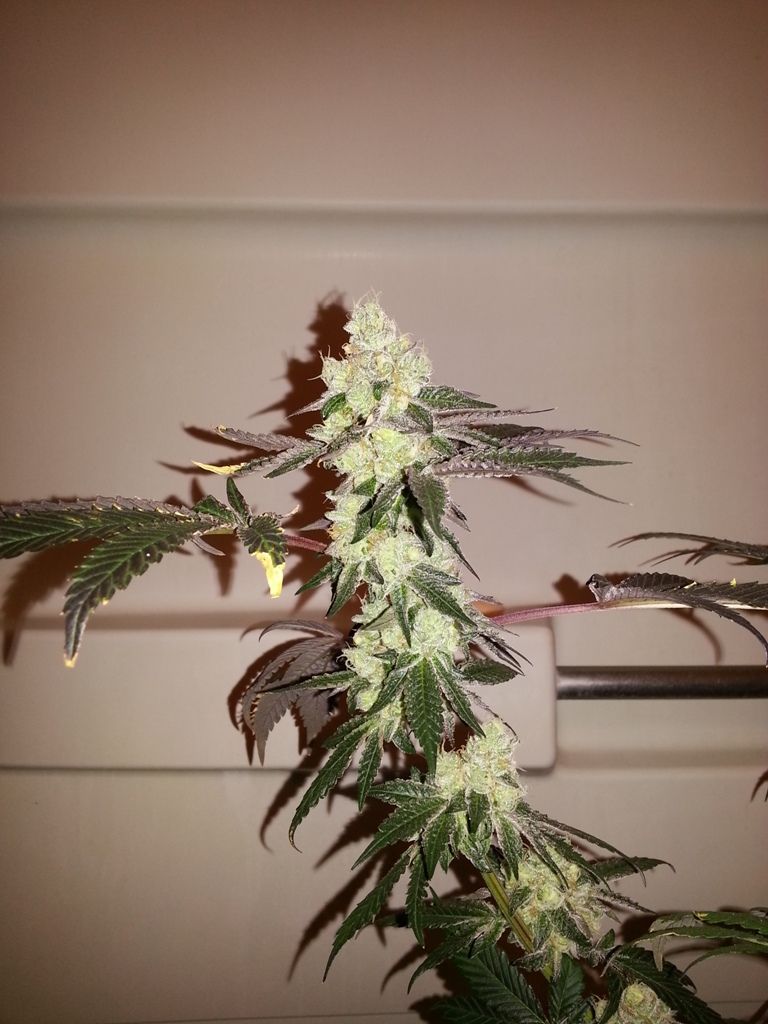 20121107_213552.jpg