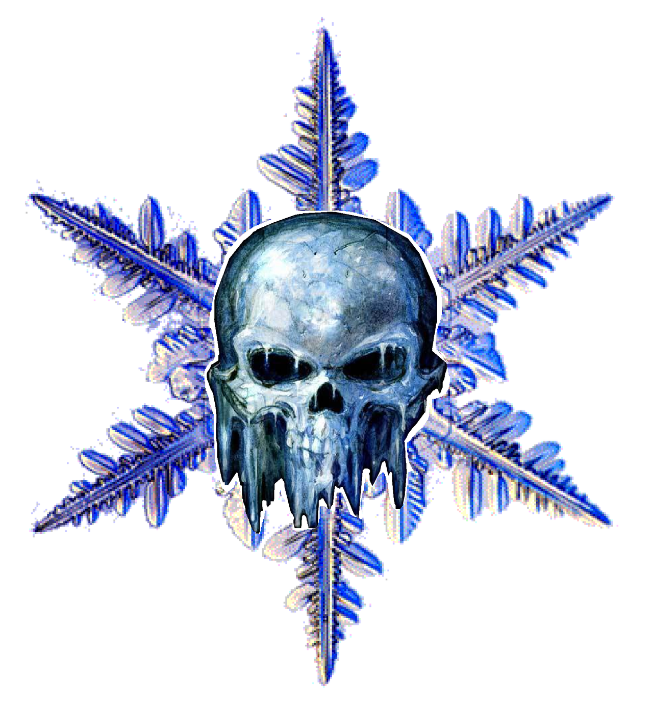 snowflake_skull_by_attero_dominatus-d4xbgeu.png