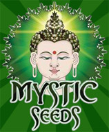 mystic.jpg