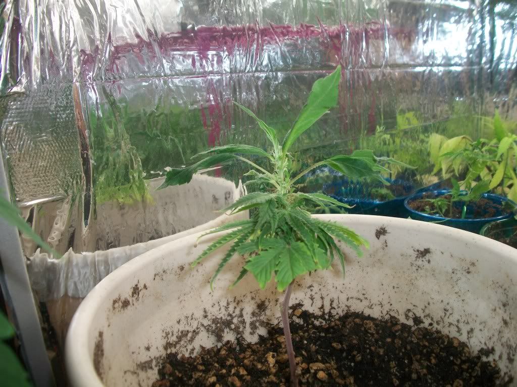 9-21-11005.jpg