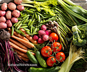 Organic-Vegetables-From-The-Farmers-Market.jpg