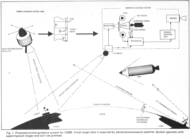 Animal-Guidance-EA-1-diag-x640.jpg