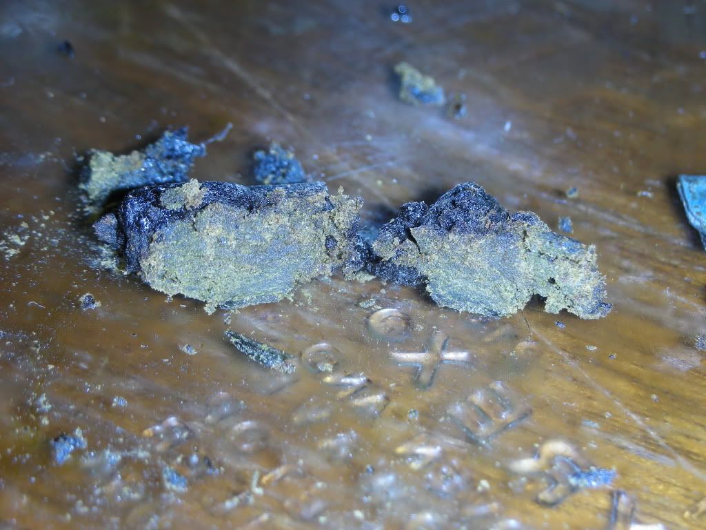 DSCN3999.jpg