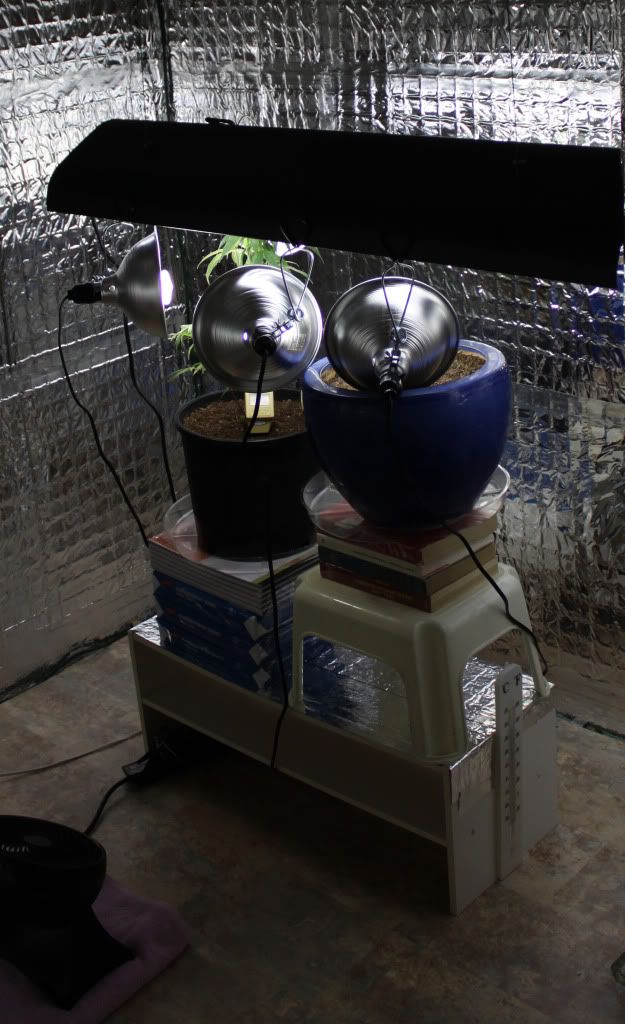 GrowRoom21511.jpg