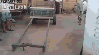 iEXc9t5.gif