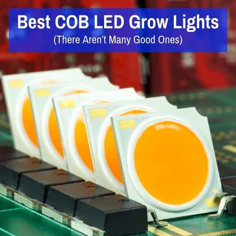 growlightinfo.com