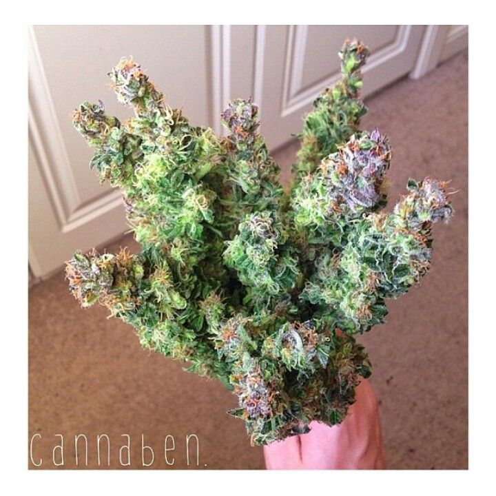 Cannabis Bouquet for Your Loved Ones - Weed Memes