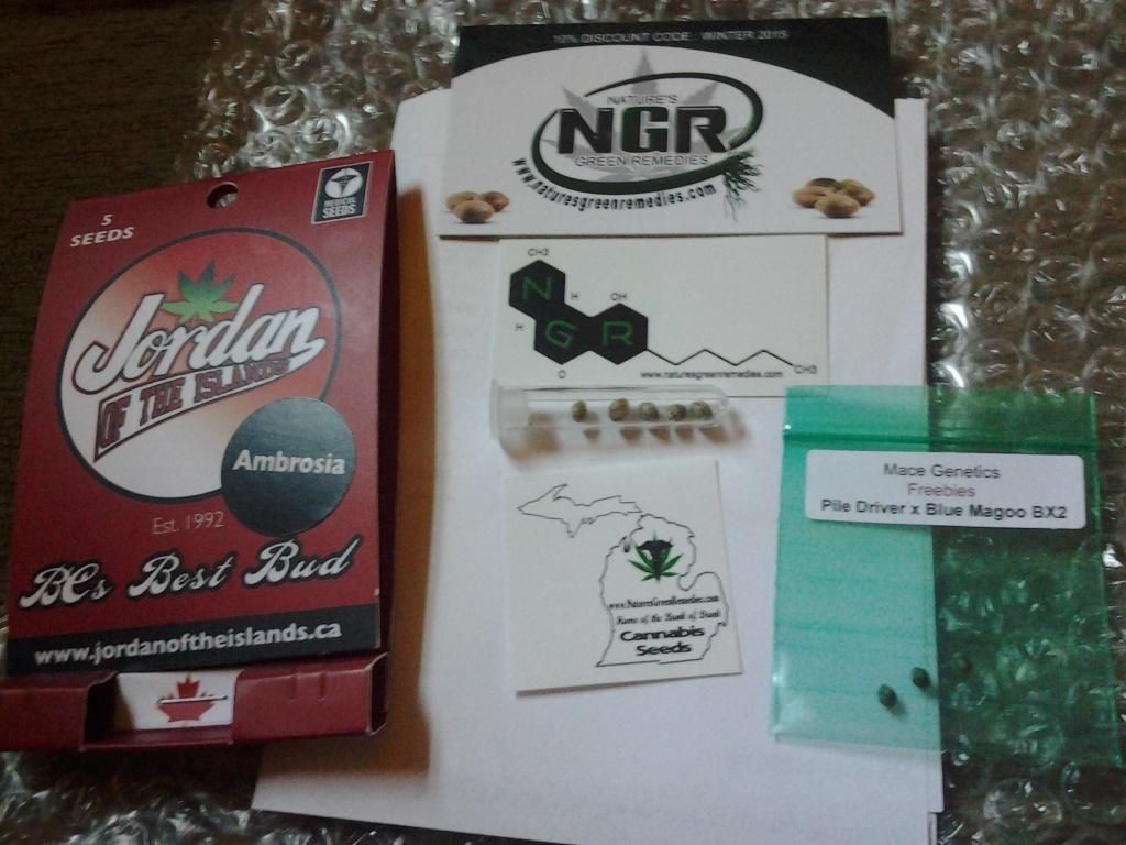 20150117_125910_zpss37d9exa.jpg