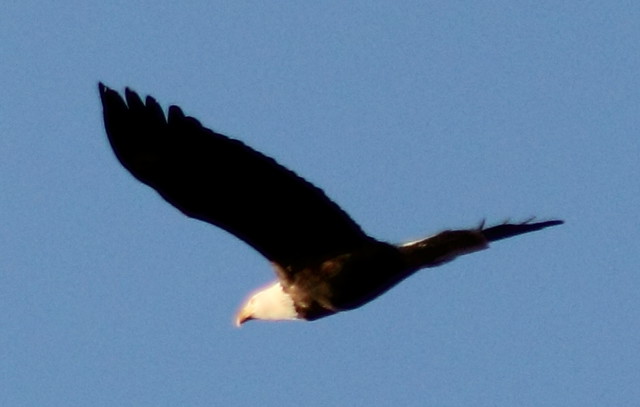 8538503352_a11f21711d_z.jpg