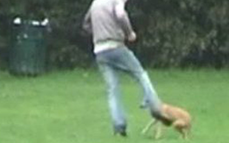 image.jpg