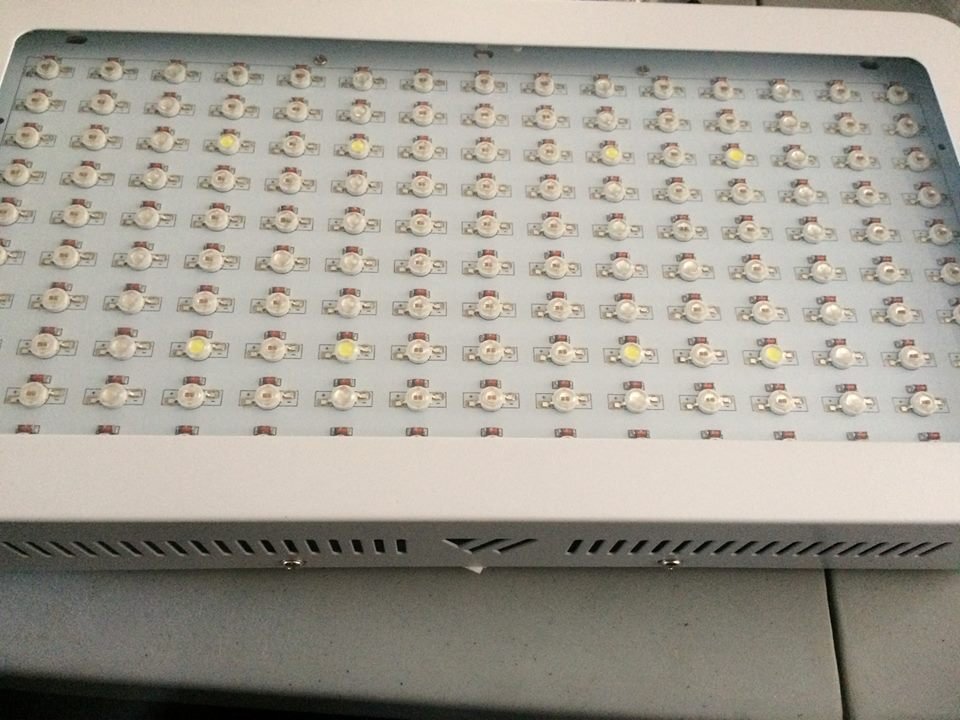 LED_1500_W.jpg