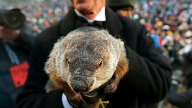 US%20Groundhog%20Day.jpg