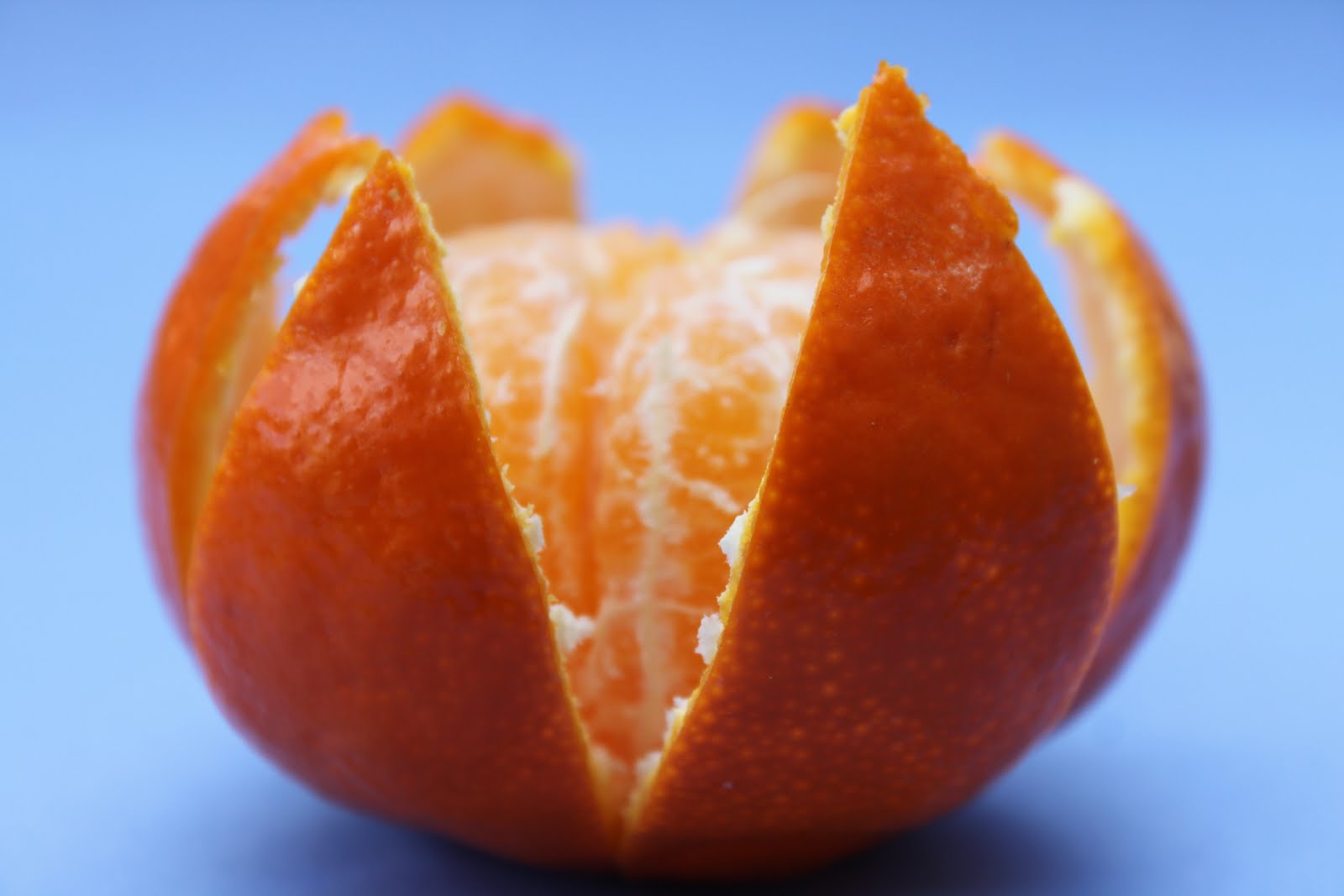 clementine-3.jpg